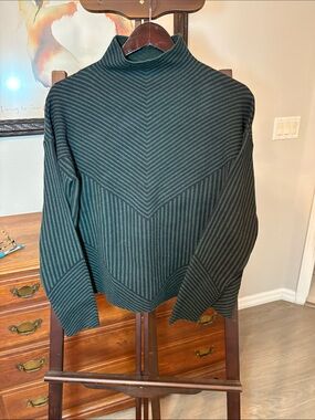 Tahari Women’s Dark Green and Black Turtleneck Stripe Sweater